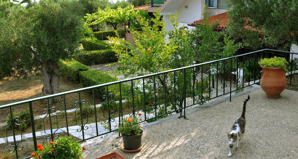 Aris Pension Agia Paraskevi  Buitenkant foto